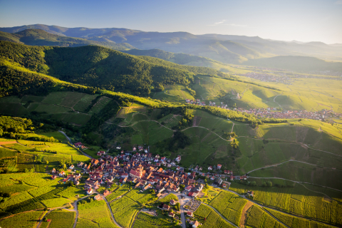 Vue sur Niedermorschwihr- Route des Vins d'Alsace