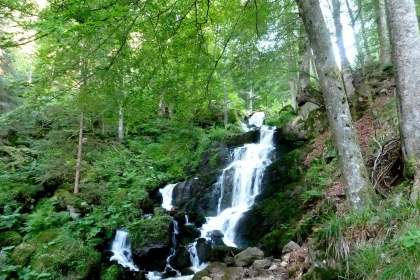 Crédit photo :  Office de tourisme de la vallée de la Bruche