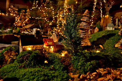 vitrine aux sapins © OTVKB