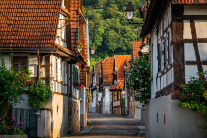 OTi de l'Alsace Verte