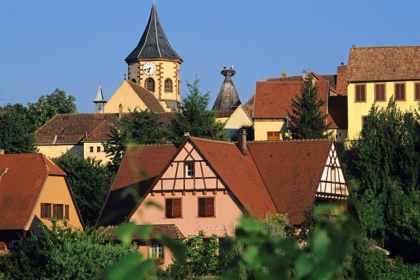 Zellenberg - Crédit photo : Christophe Dumoulin - Office de Tourisme du Pays de Ribeauvillé et Riquewihr