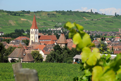 Office de tourisme Vallée de Kaysersberg