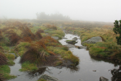 La réserve naturelle du Gazon du Faing - Photo Flickr