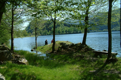 Lac de Kruth en été