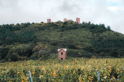 Office de tourisme du Pays d'Eguisheim et de Rouffach